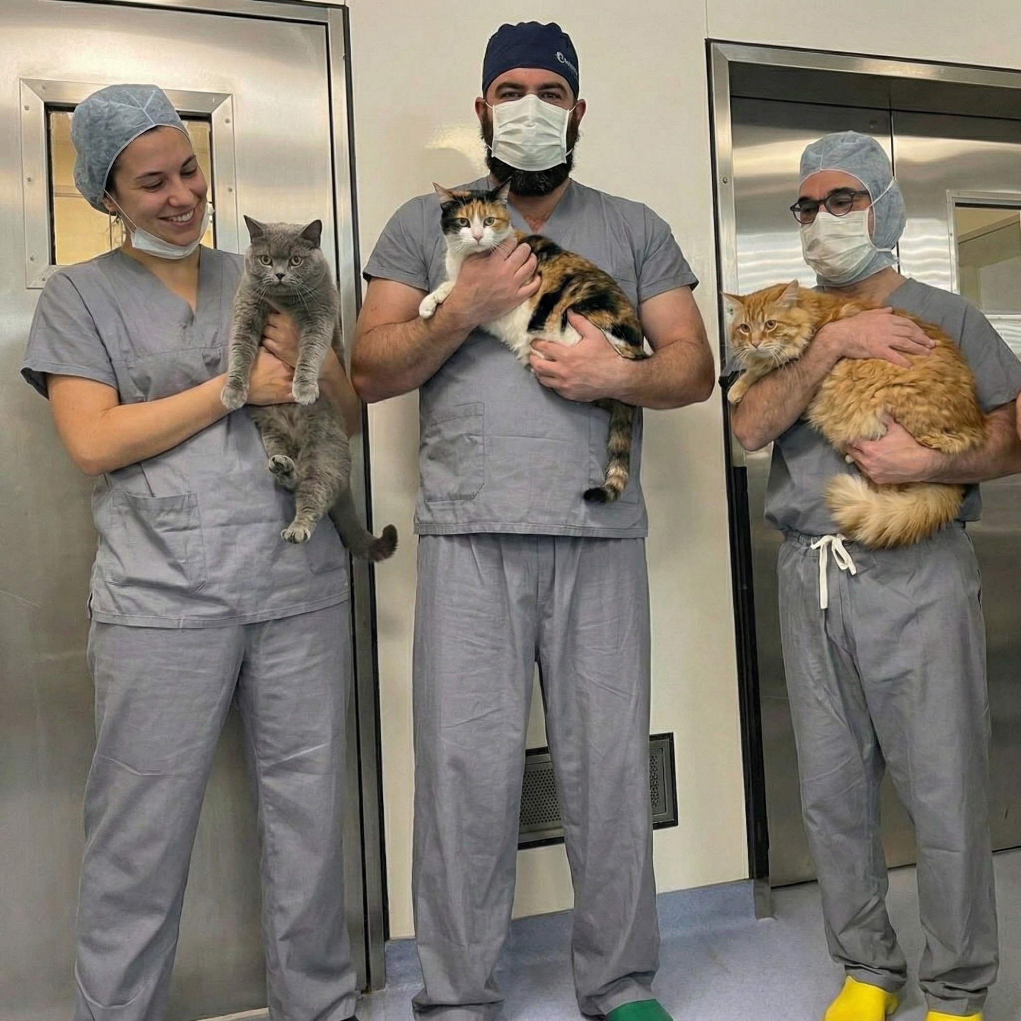 Willow Creek Veterinary Hospital Facebook ad: Veterinarian speaks the truth
