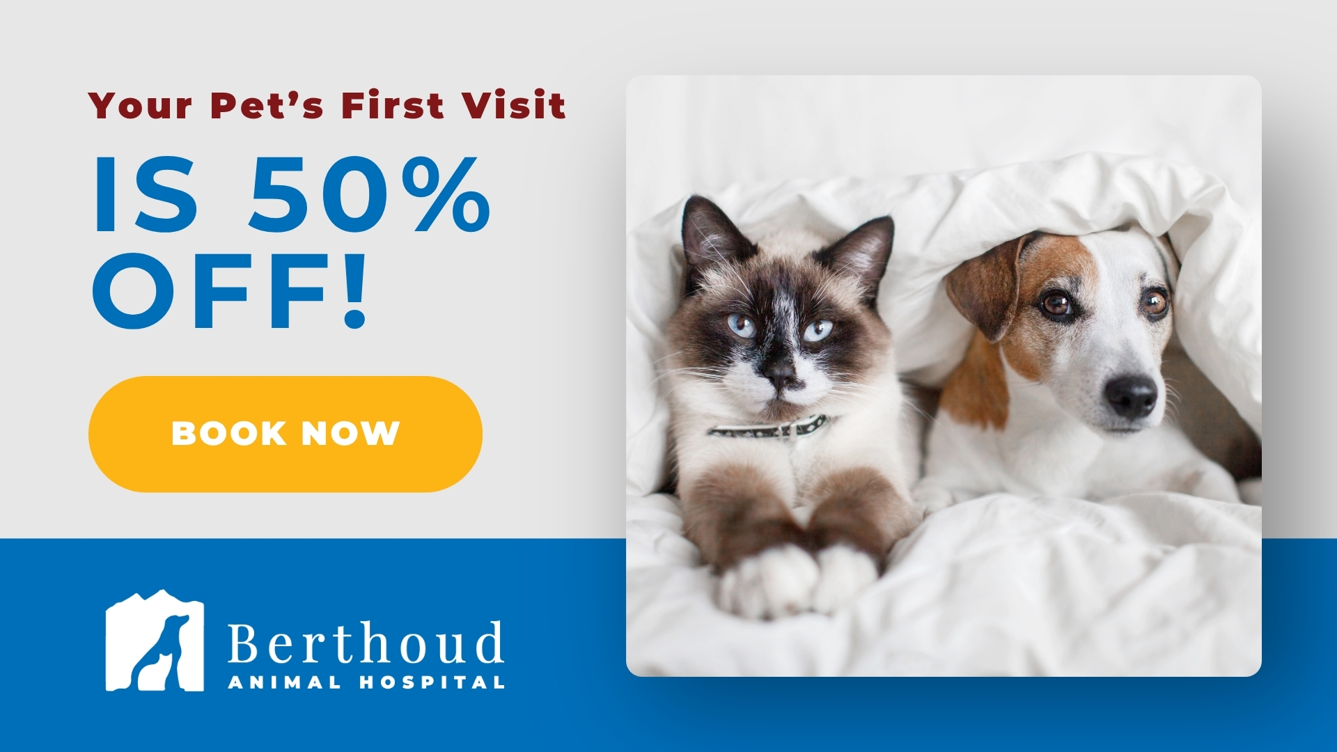 Berthoud Animal Hospital Facebook ad from Jul 6, 2026