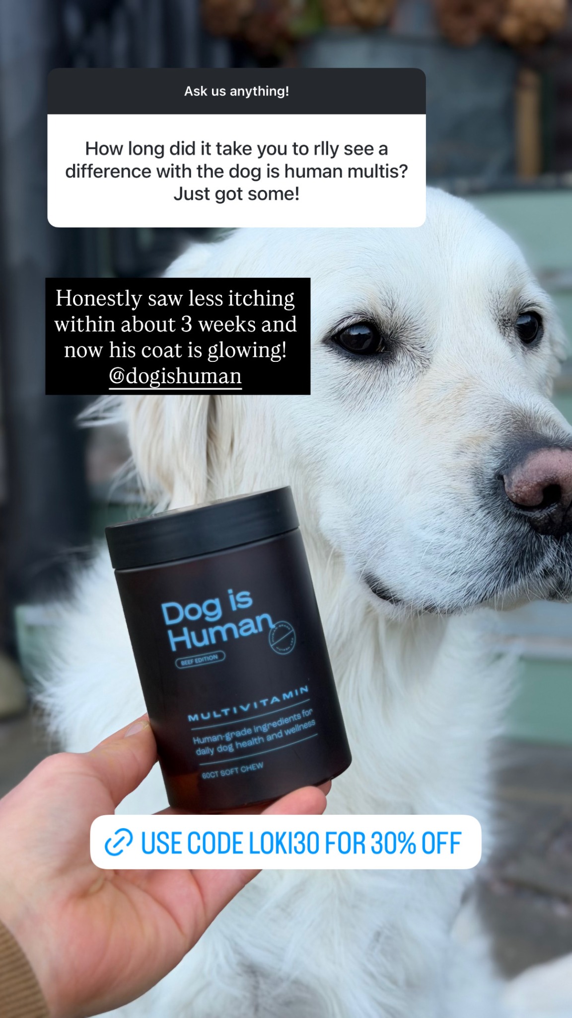 Loki The Floof Facebook ad: Daily Dog Multivitamin, Real Results