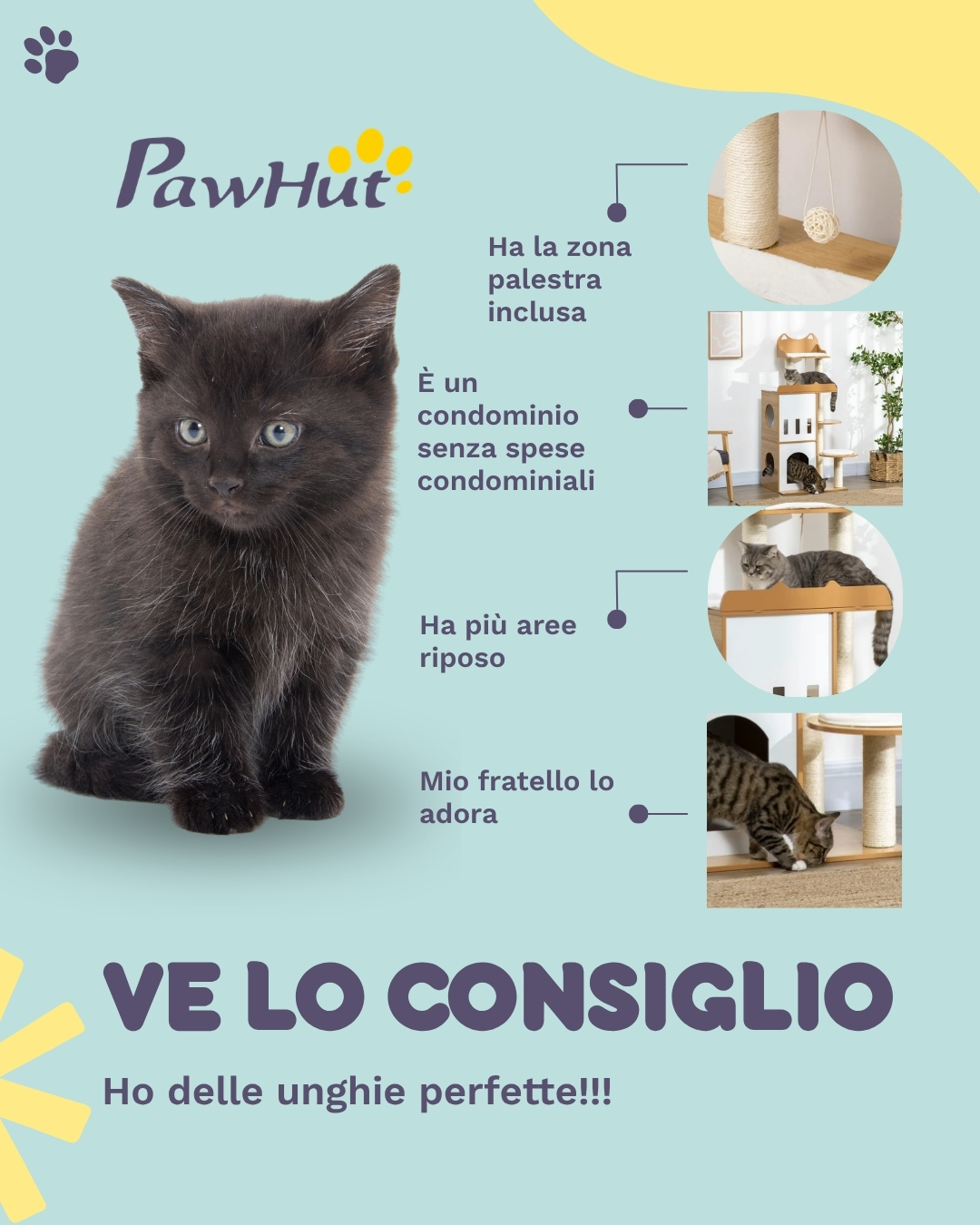PawHut It Facebook ad: PawHut albero tiragraffi per gatti: divertimento, relax e…