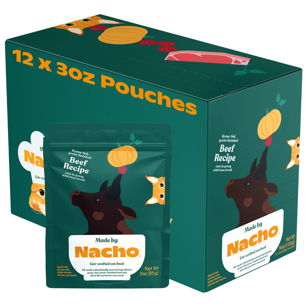 Made by Nacho Facebook ad from Oct 1, 2025