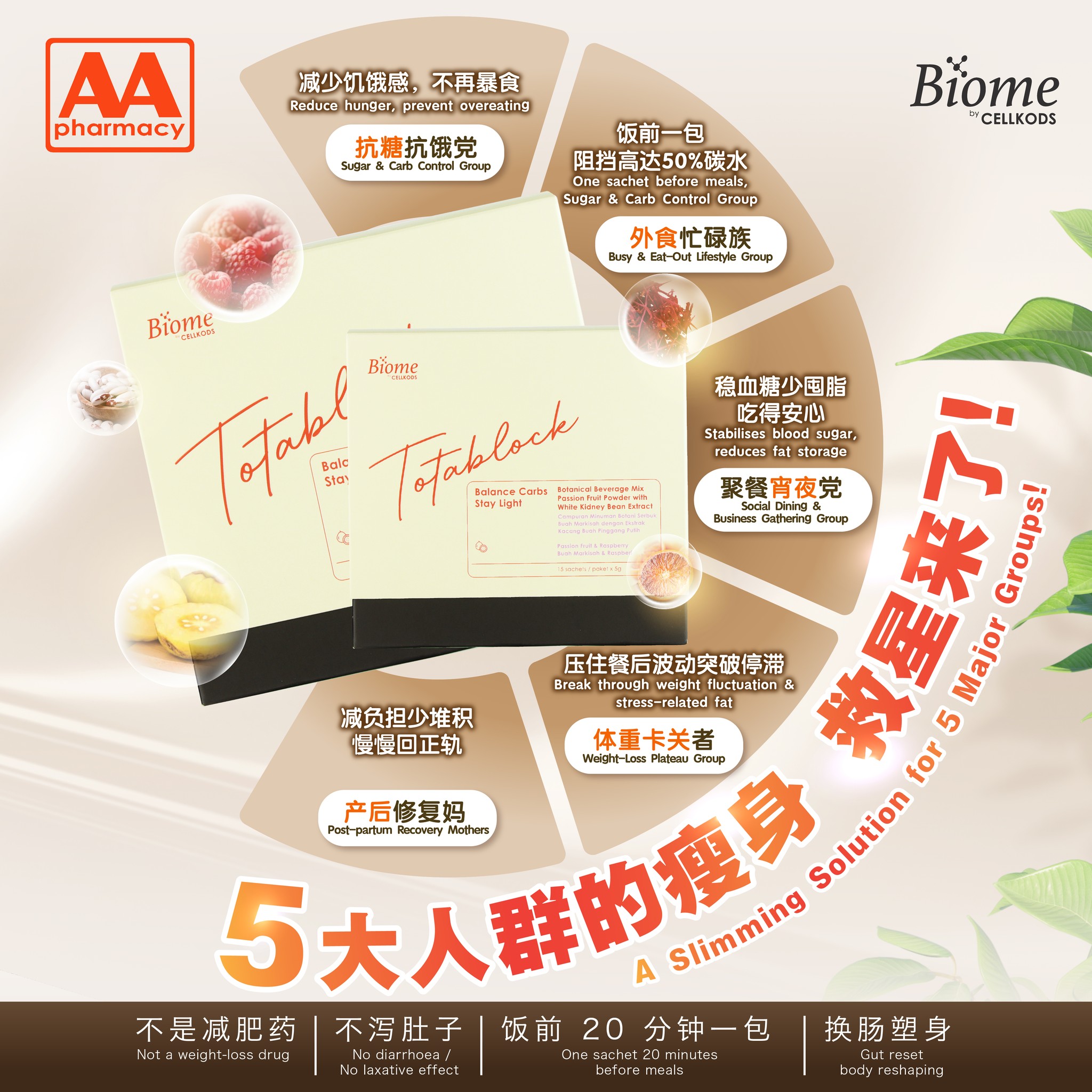 AA Pharmacy Malaysia Facebook ad