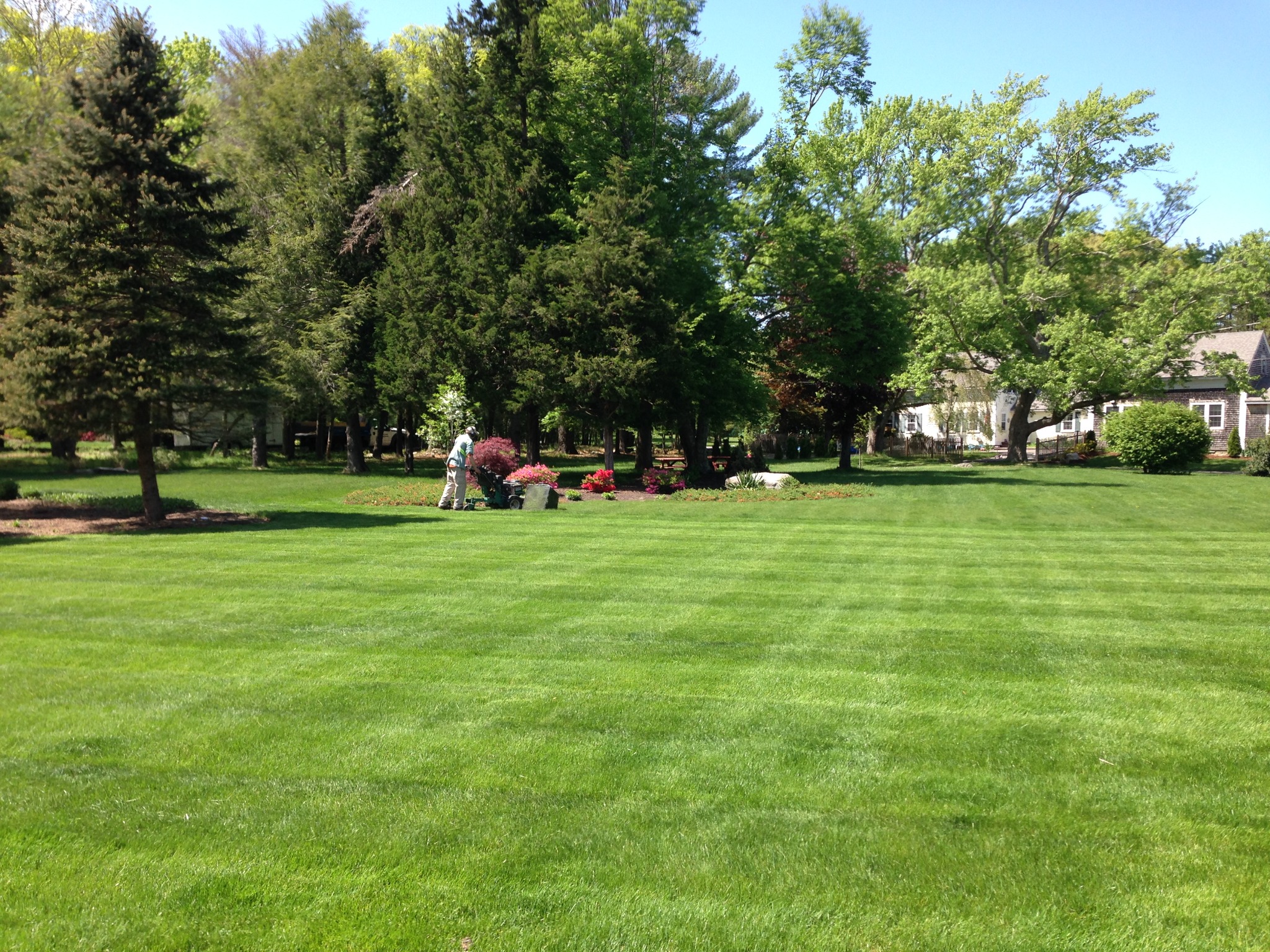 Greener Horizon Landscape Services Facebook ad