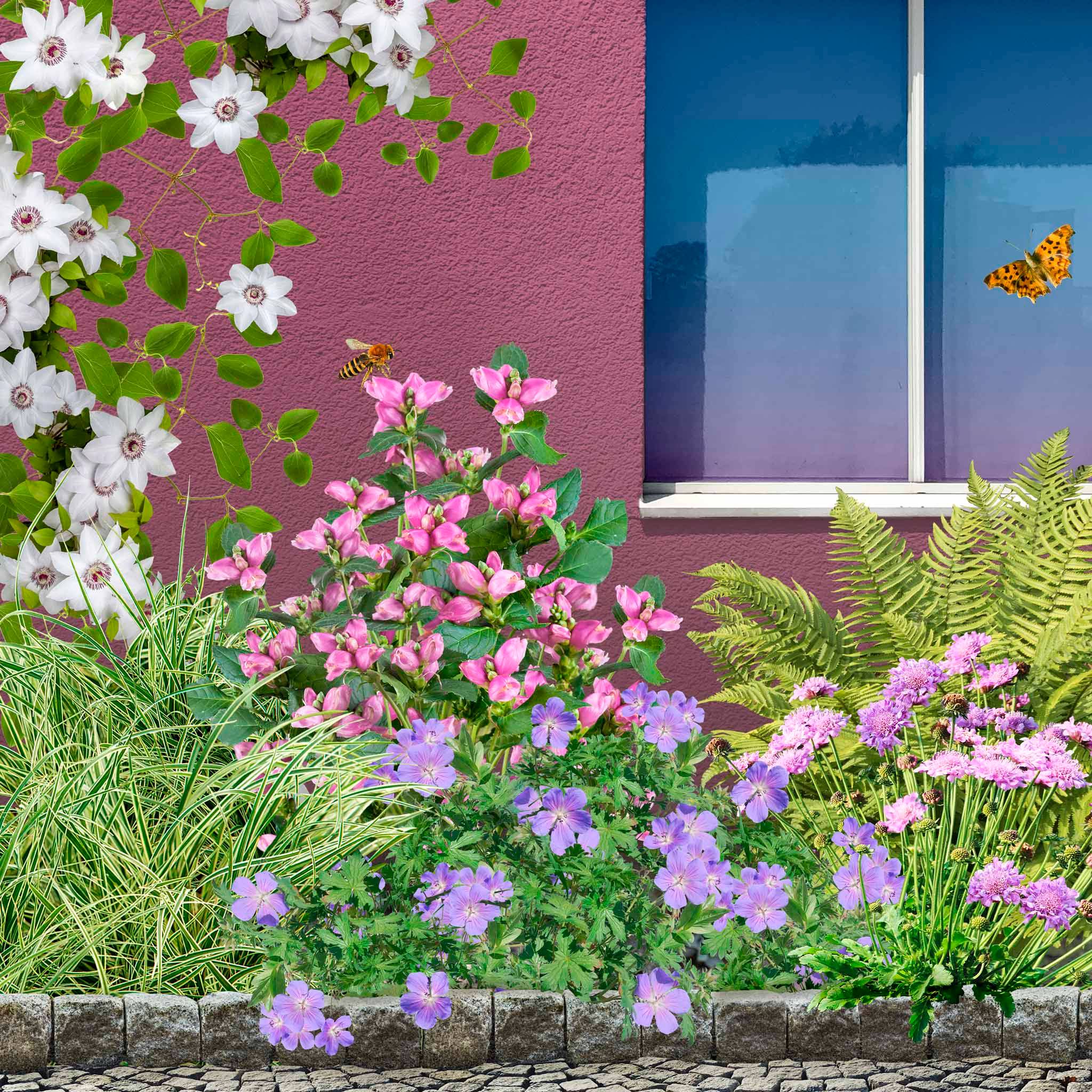 sprinklr.co Facebook ad: Kant-en-klare biologische tuinpakketten, met zorg…