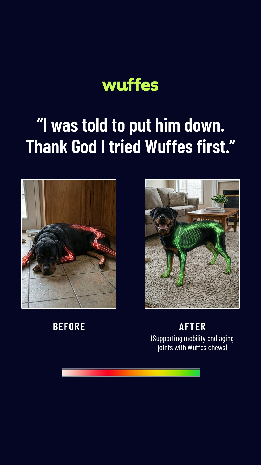 Everyday Pet Health Facebook ad