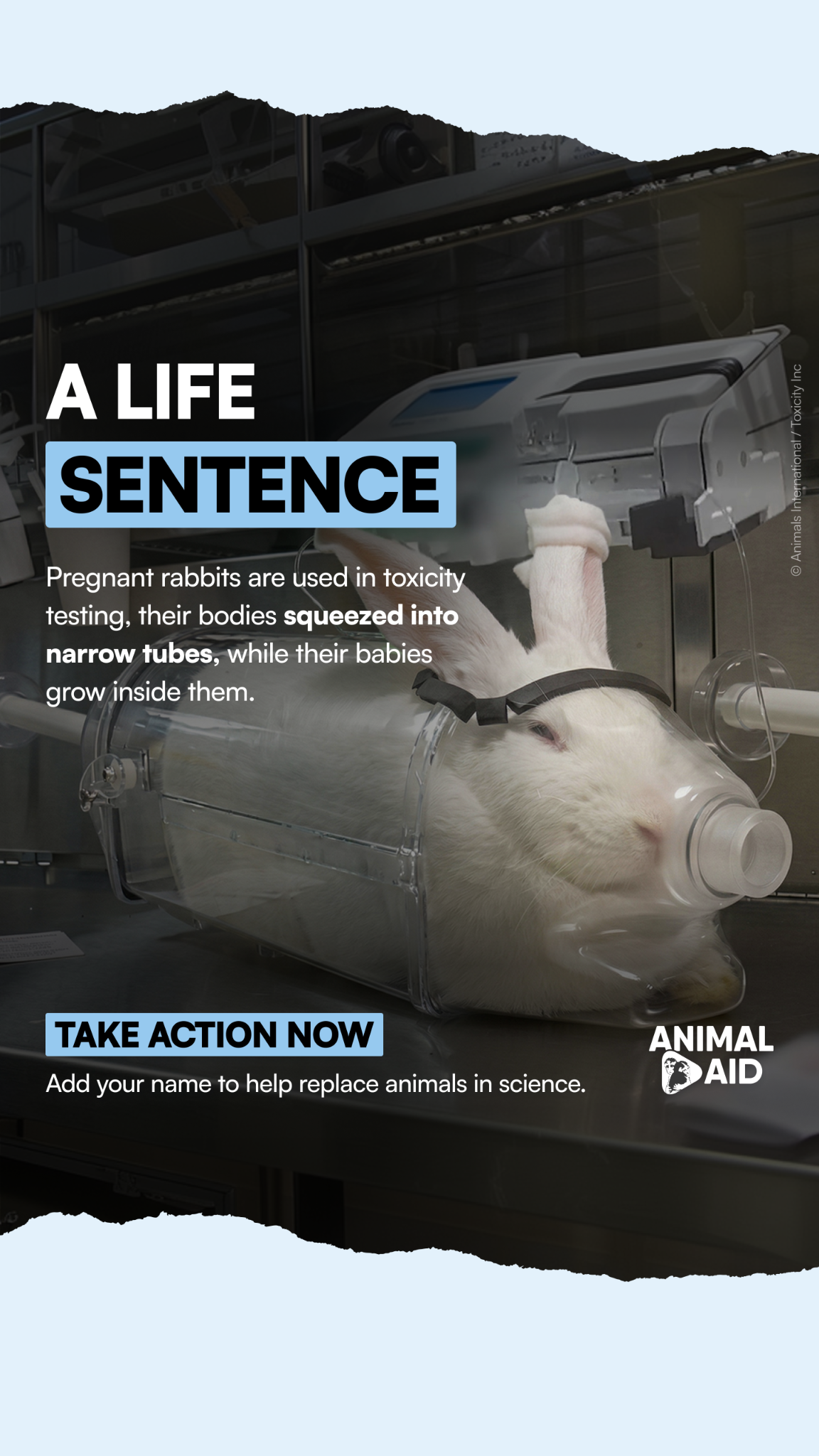 Animal Aid Facebook ad from May 13, 2026