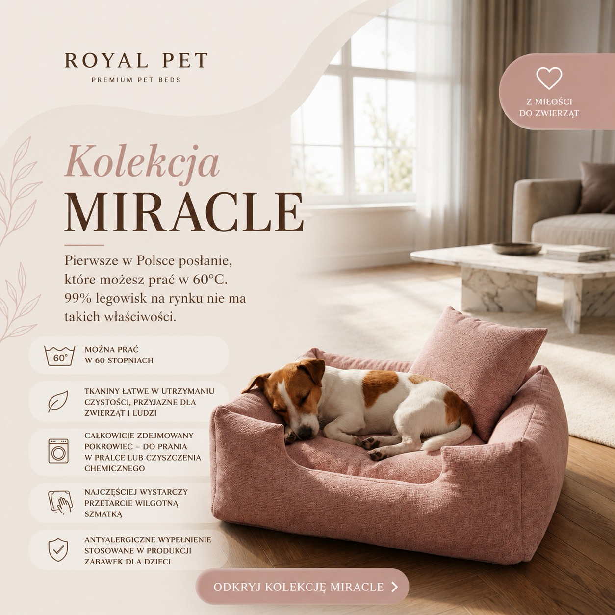 Royal Pet by Royal Vision - luksusowe legowiska dla zwierząt Facebook ad: To nie jest zwykłe legowisko.