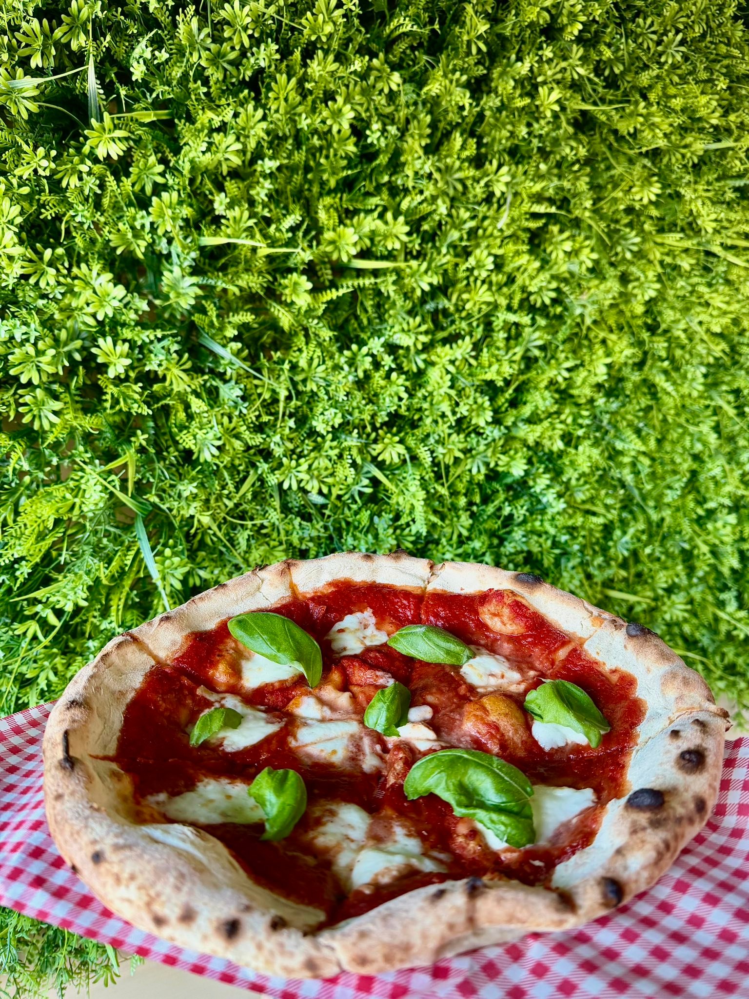 Aldente - Restauracja z salą zabaw Facebook ad