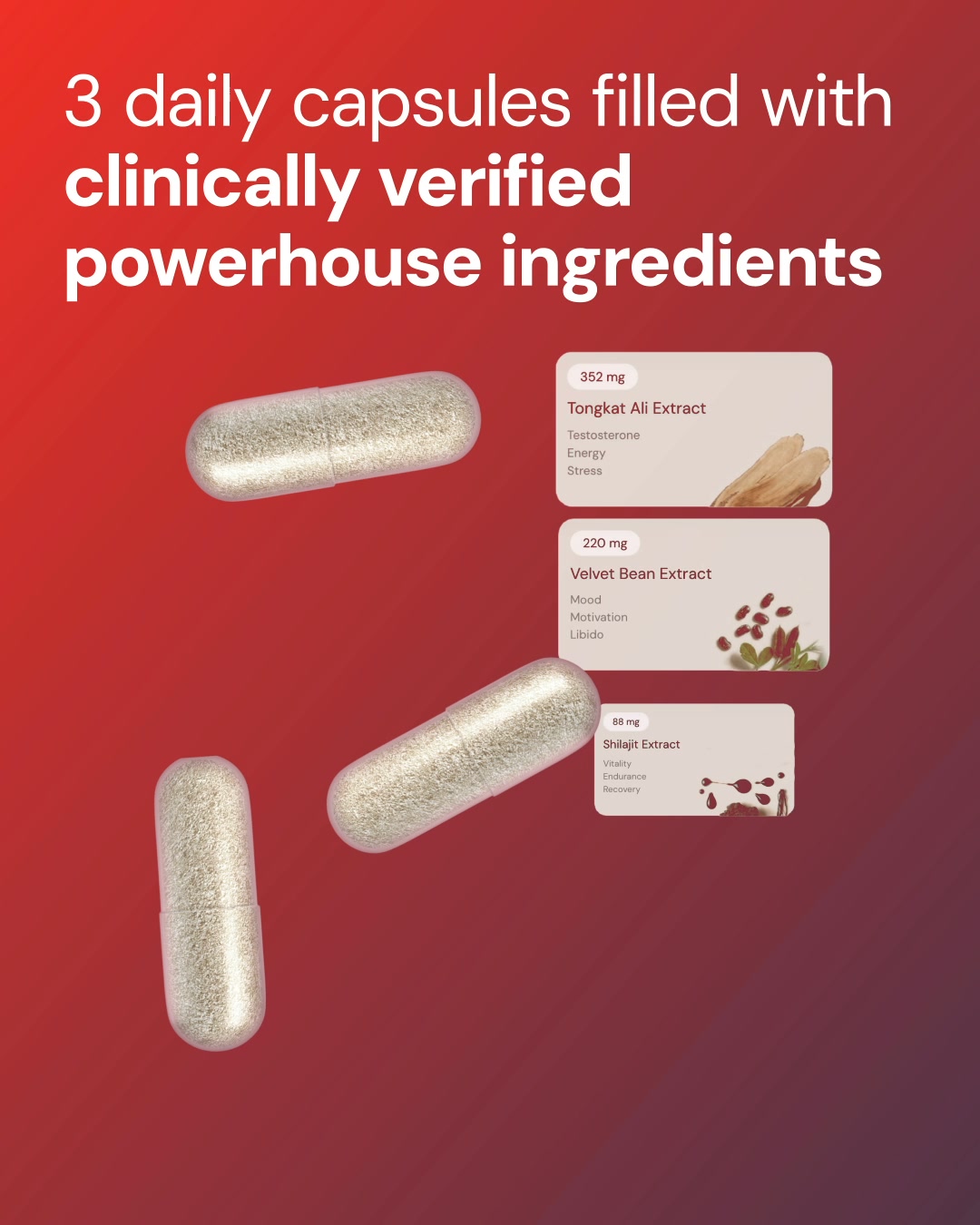 Primal Harvest Facebook ad: Holistic Support for Healthy T