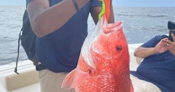 Let’s Go Fishing Charter and Guide Services Facebook ad
