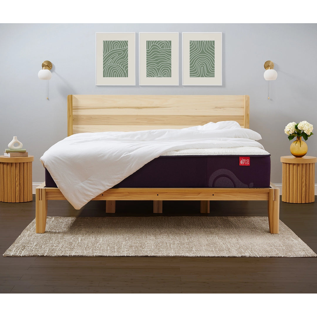 Big Fig Mattress Facebook ad