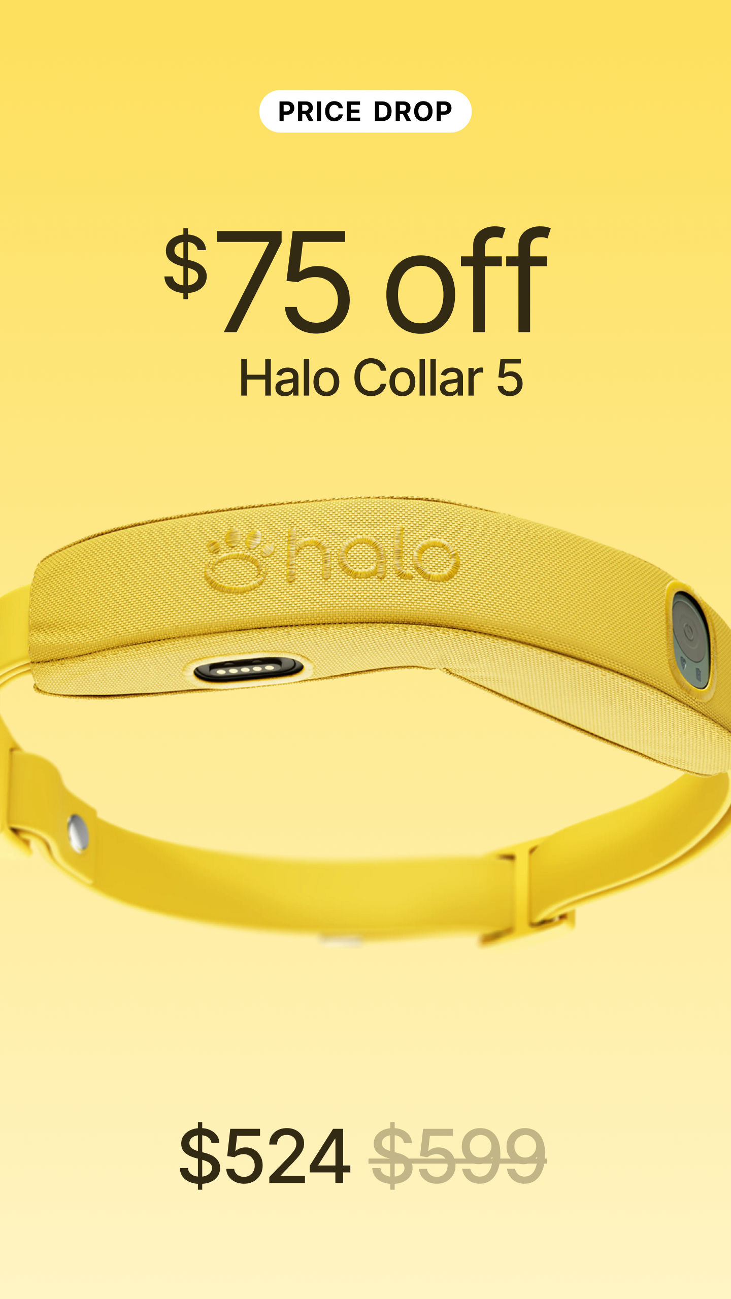 Halo Collar Facebook ad