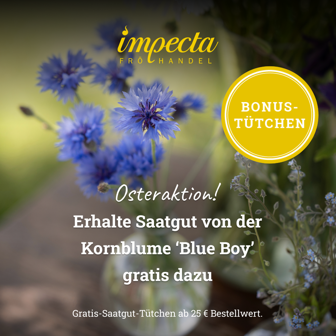 Impecta Fröhandel Europe Facebook ad from Apr 1, 2026