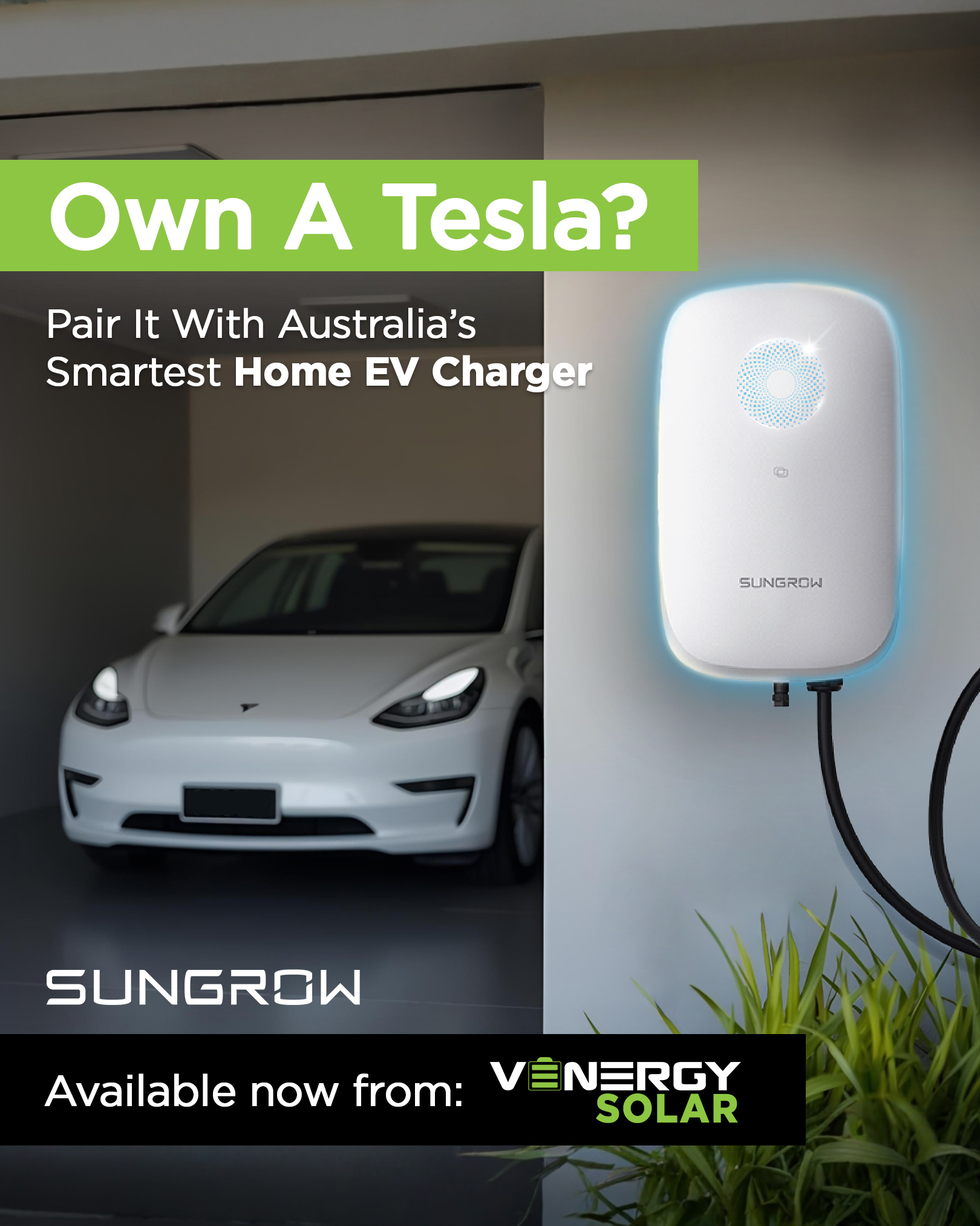 Venergy Solar Australia Facebook ad