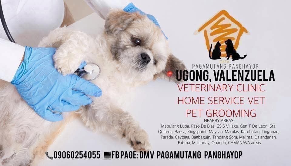 DMV: Pagamutang Panghayop Facebook ad