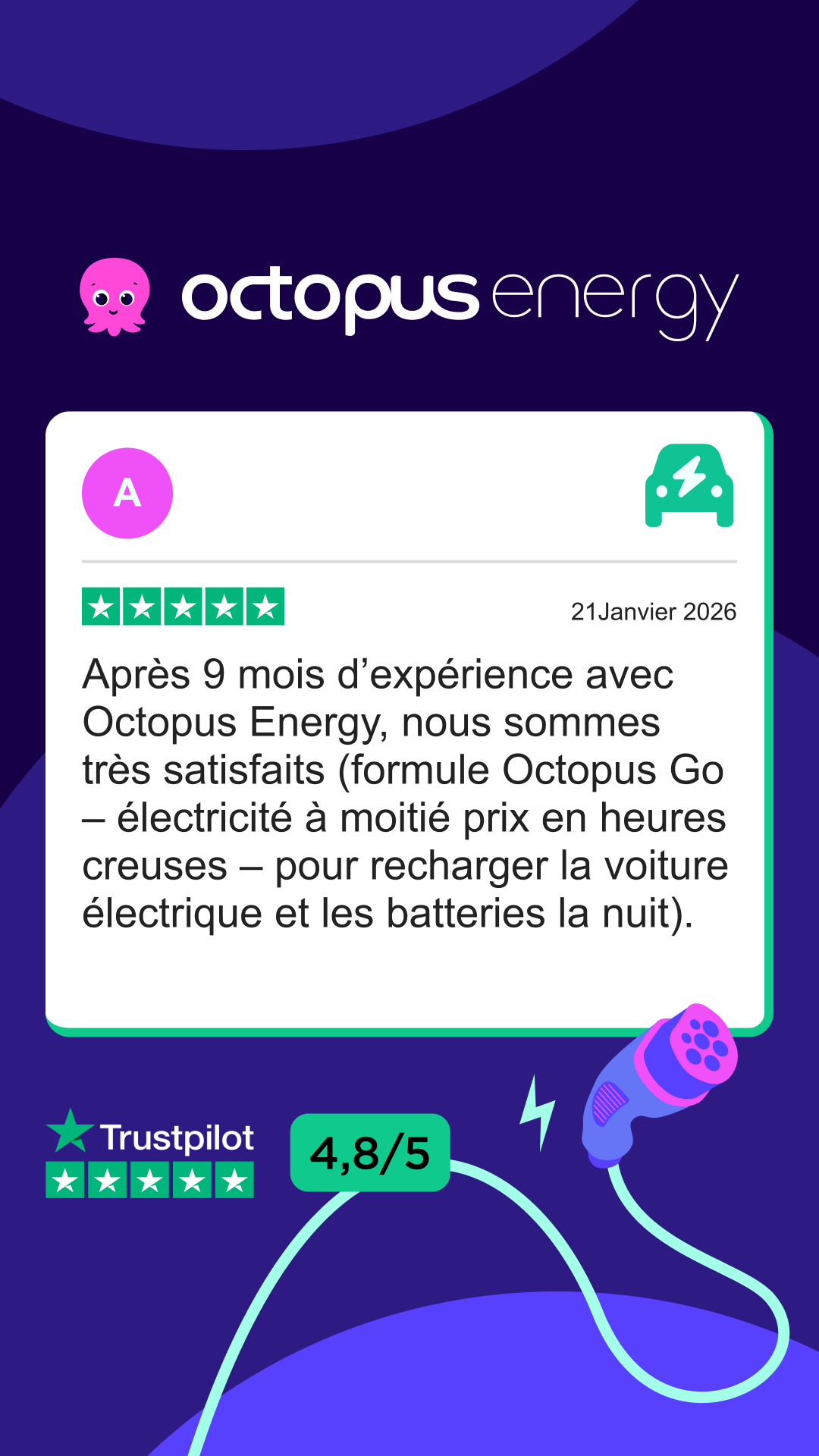 Octopus Energy Facebook ad