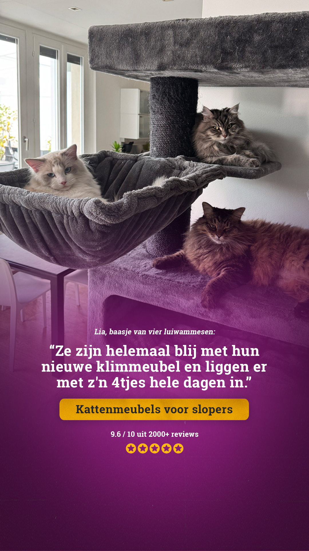petrebels.com Facebook ad
