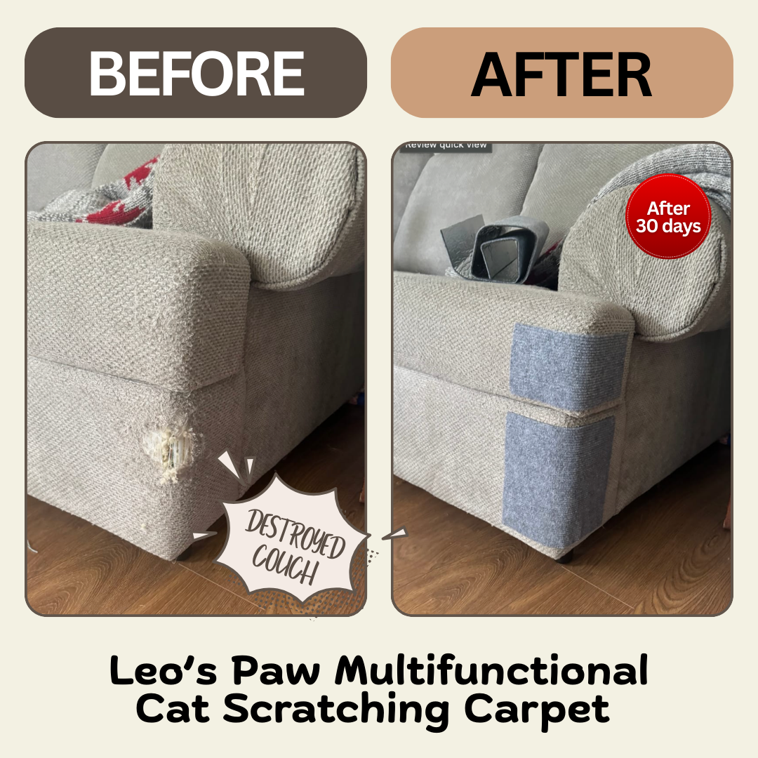 Leo's Paw Facebook ad