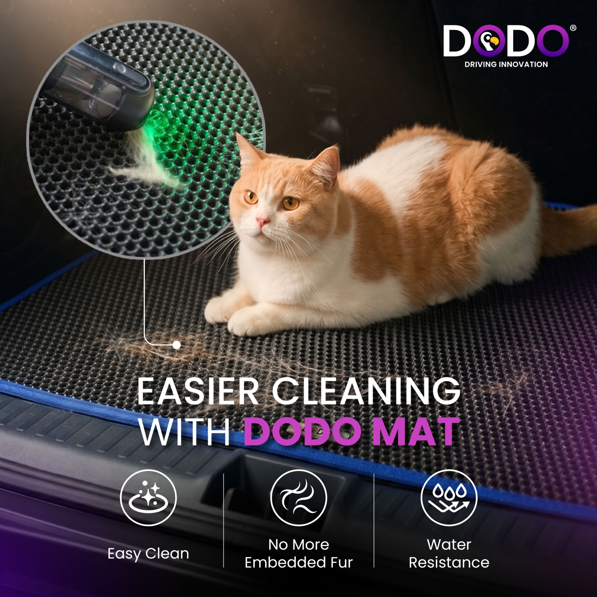 Dodo Mat Facebook ad: 每次开开心心带猫咪出门,回程时看到车厢真的血压飙升……