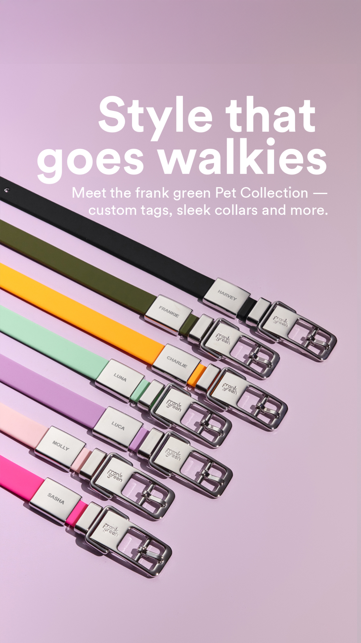 frank green Facebook ad