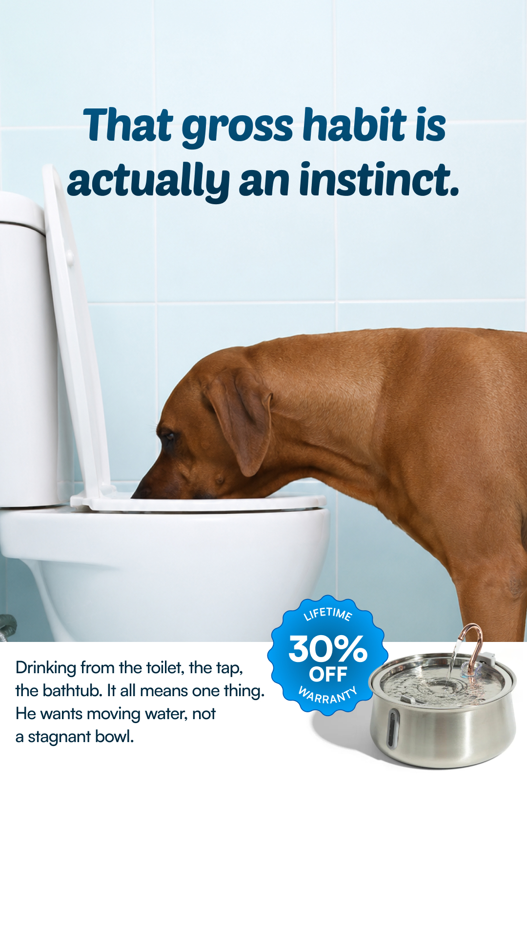 Rhykin Pet Co Facebook ad