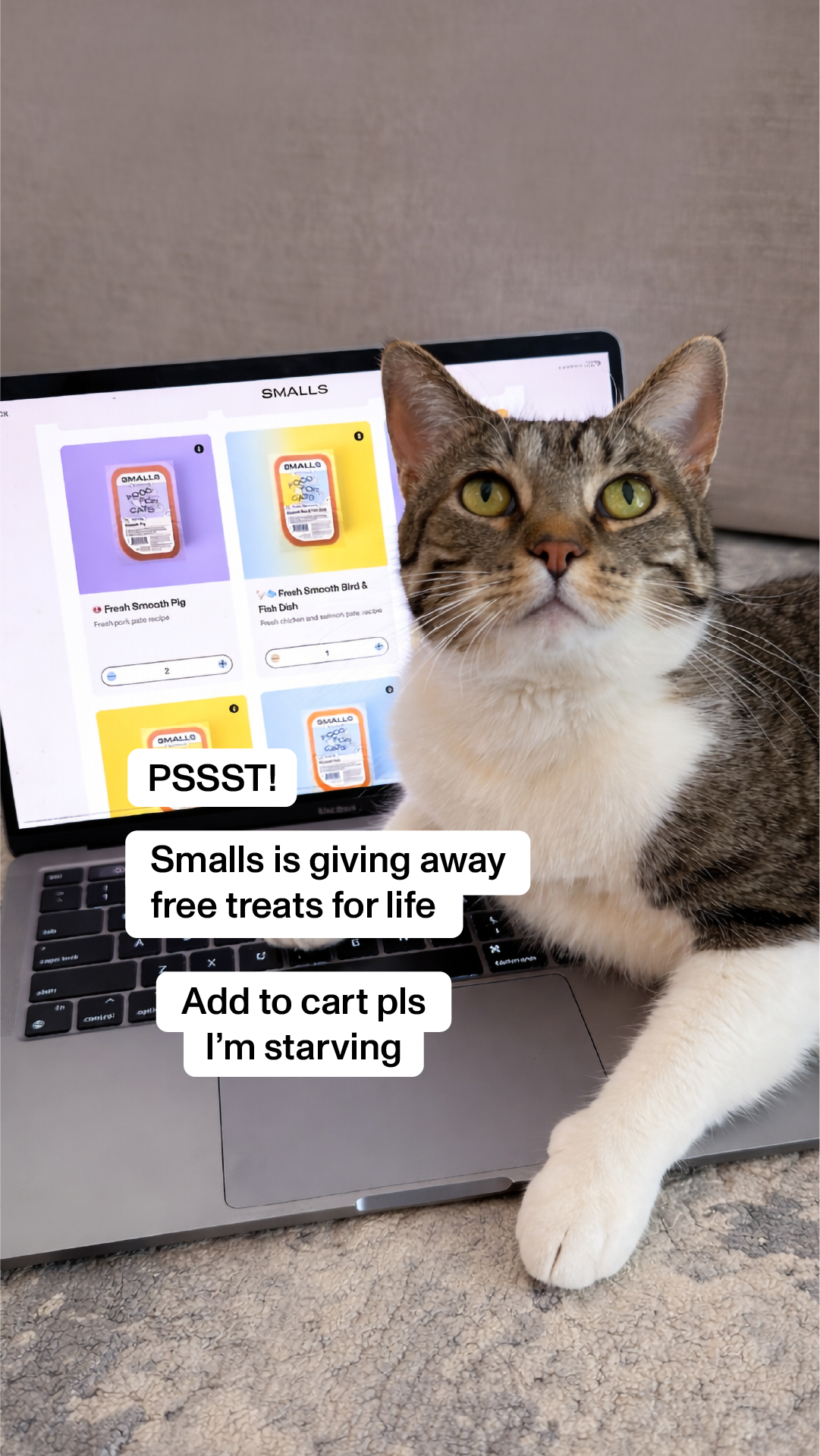 Smalls Facebook ad