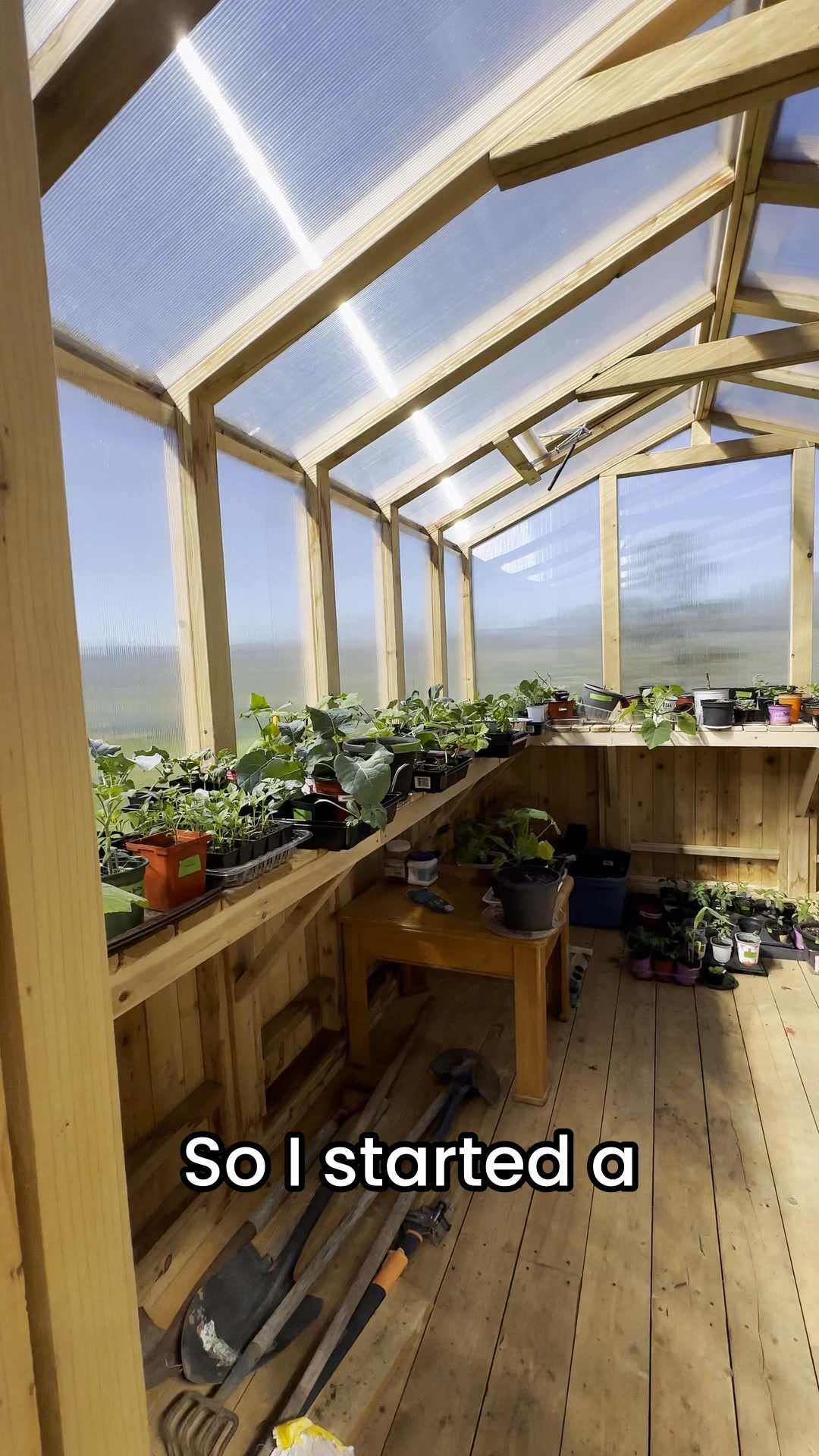 Outdoor Living Today Facebook ad: Elevate Your Garden Game, No Pests, No Stress!