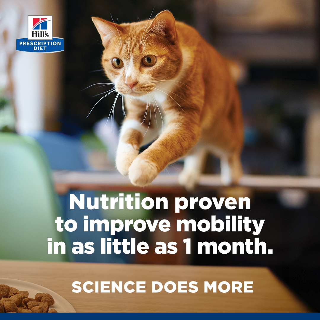 Hill’s Pet Nutrition Facebook ad
