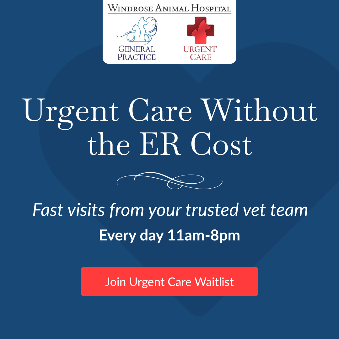 Windrose Animal Hospital Facebook ad from Apr 21, 2026