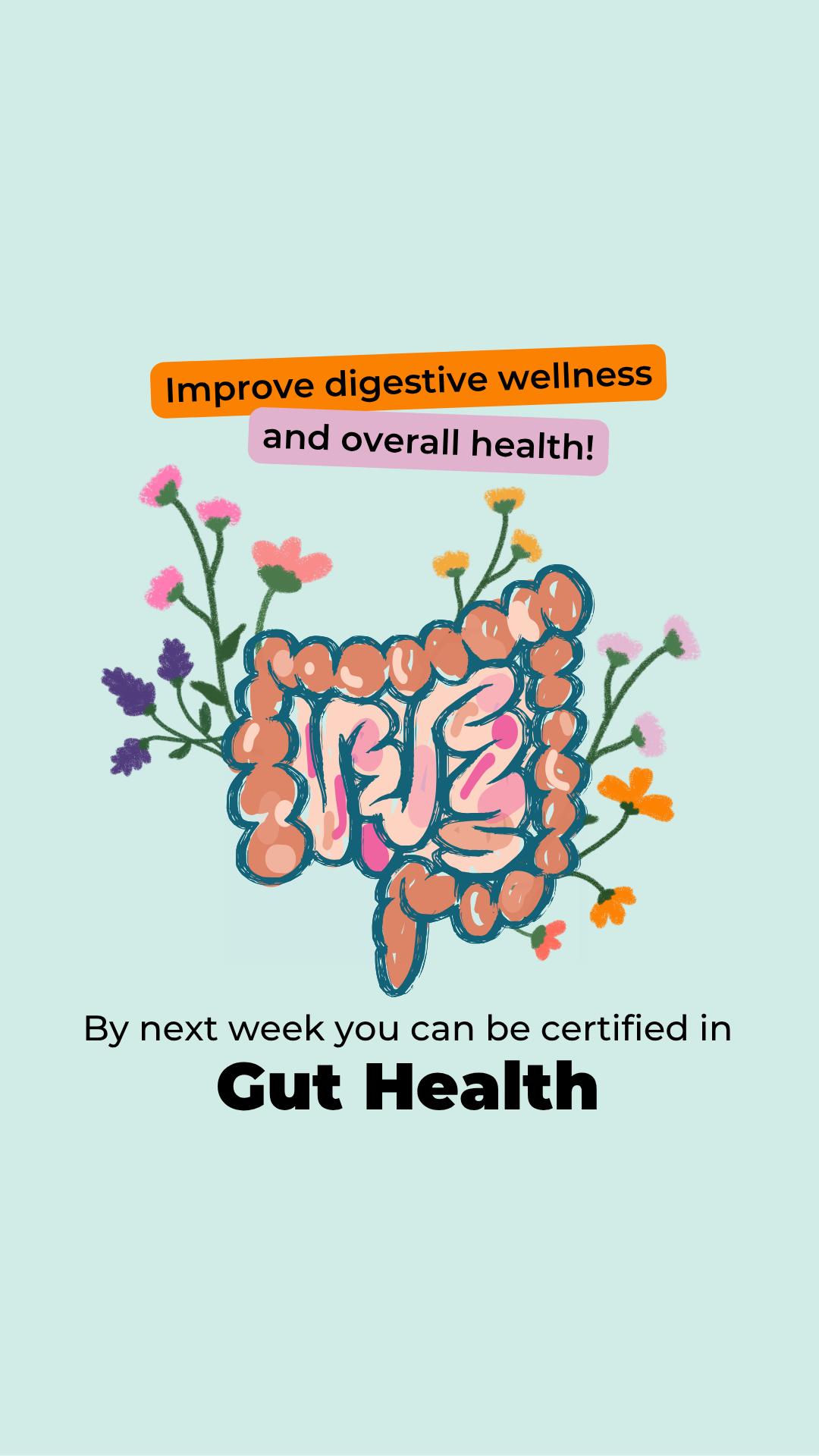 Naturalistico Facebook ad: Get Certified in Gut Health, 100% Online
