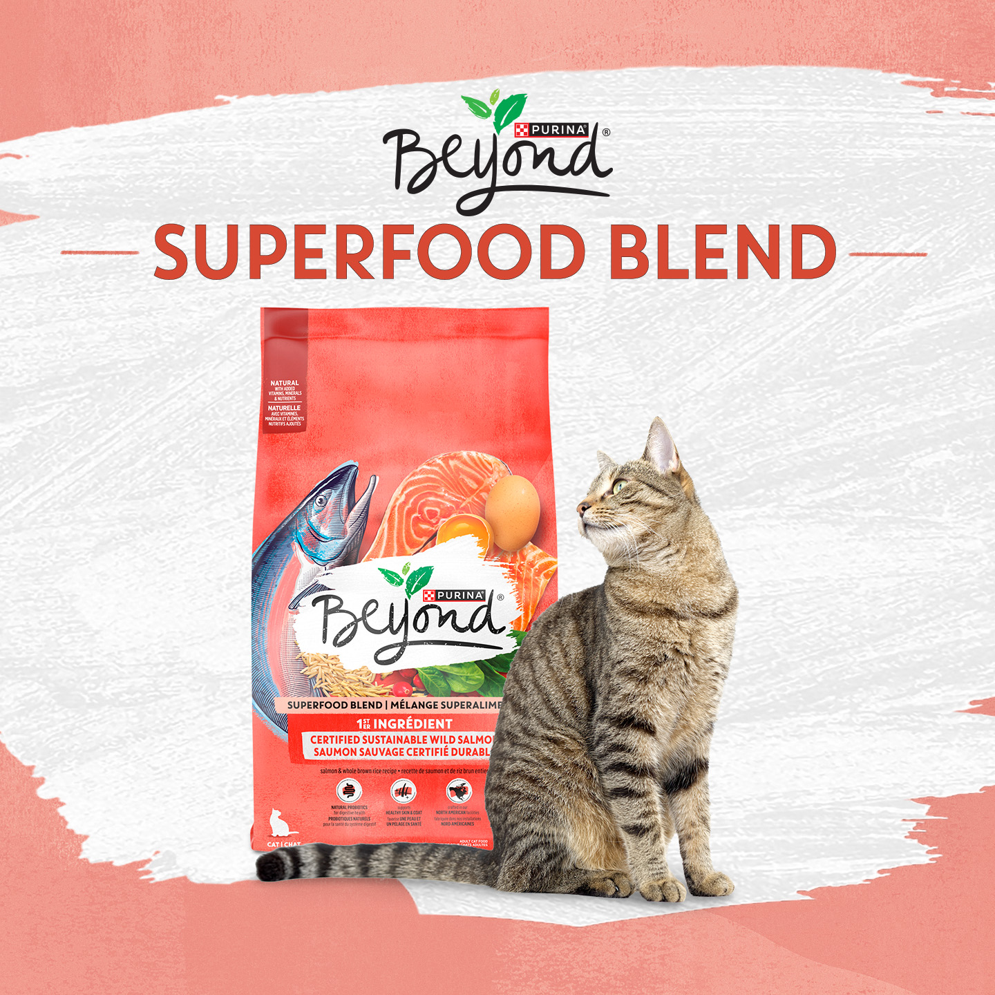 Purina Canada Facebook ad
