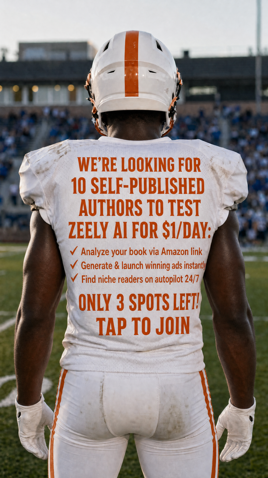 Zeely: Grow Sales with AI Facebook ad