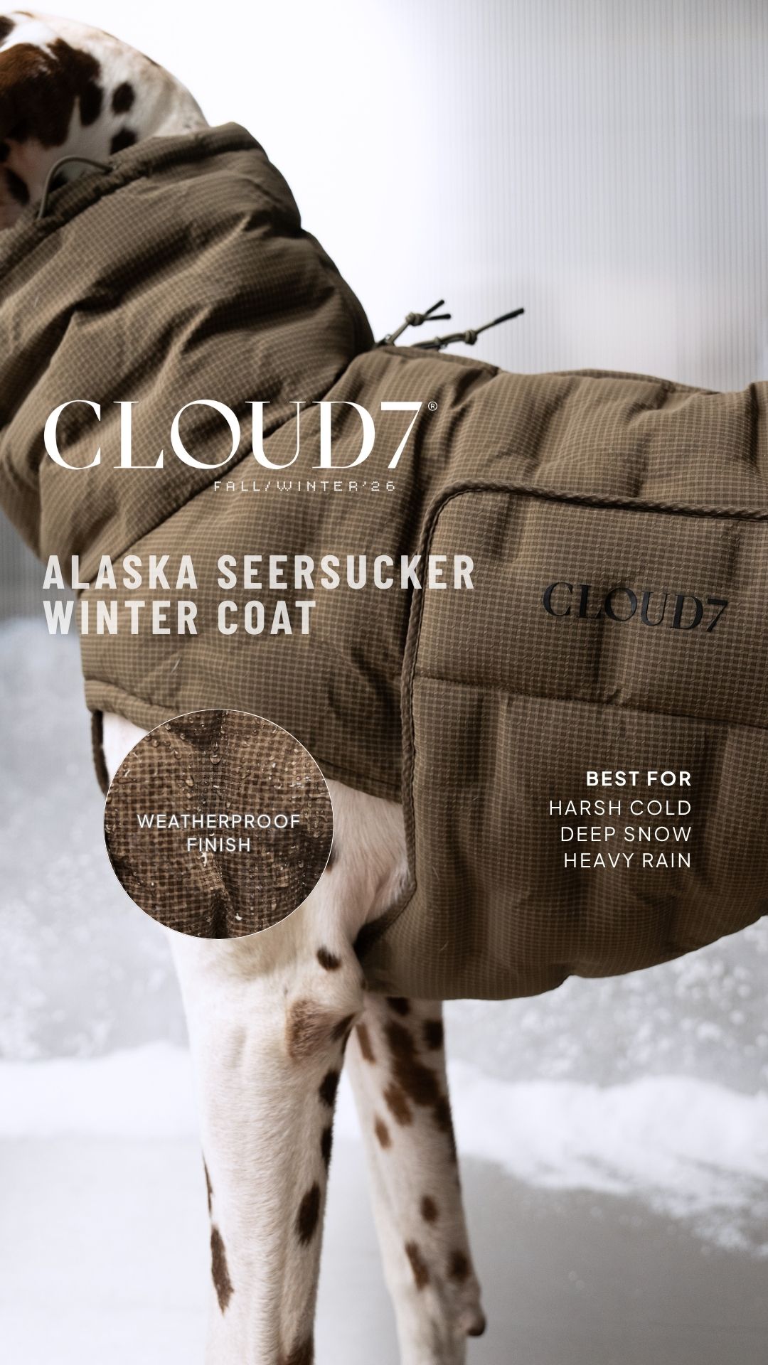 Cloud7 Facebook ad: Discover here