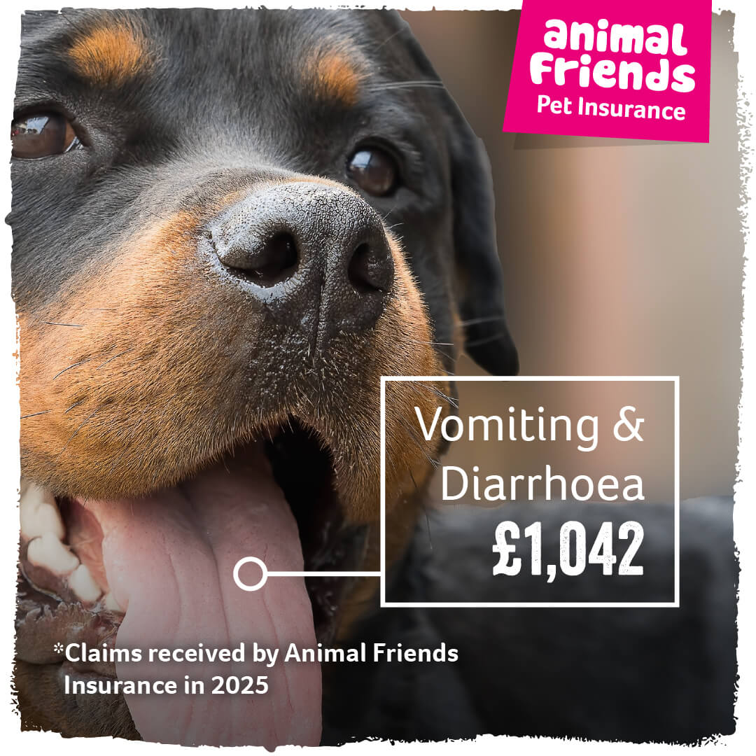 Animal Friends Pet Insurance Facebook ad