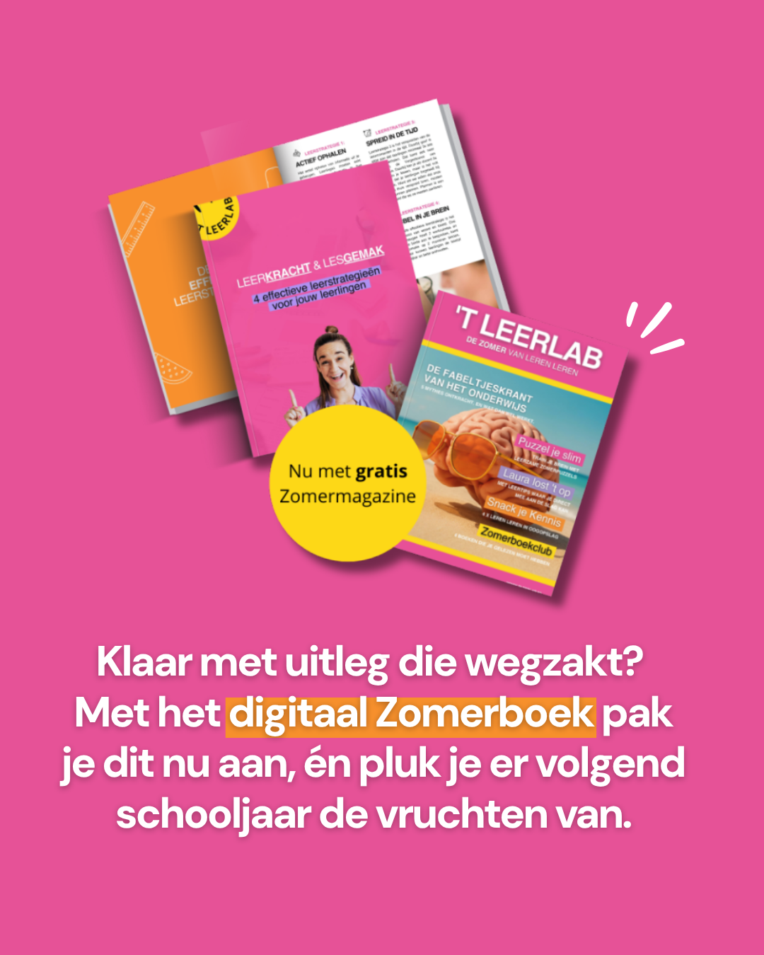 t Leerlab Facebook ad