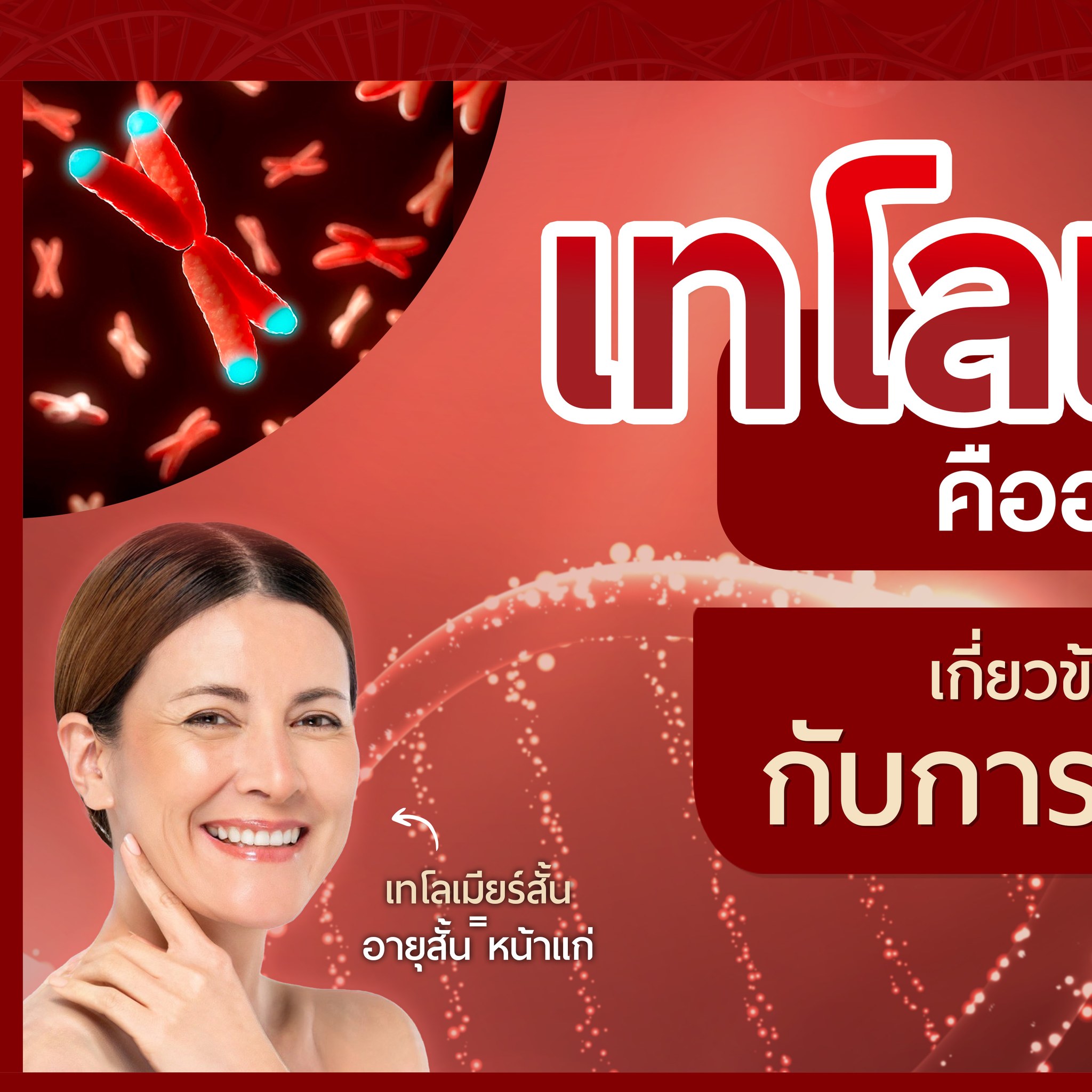 Celvita Telolab Thailand อาหารเสริมบำรุงเซลล์ย้อนวัยระดับโครโมโซม Facebook ad
