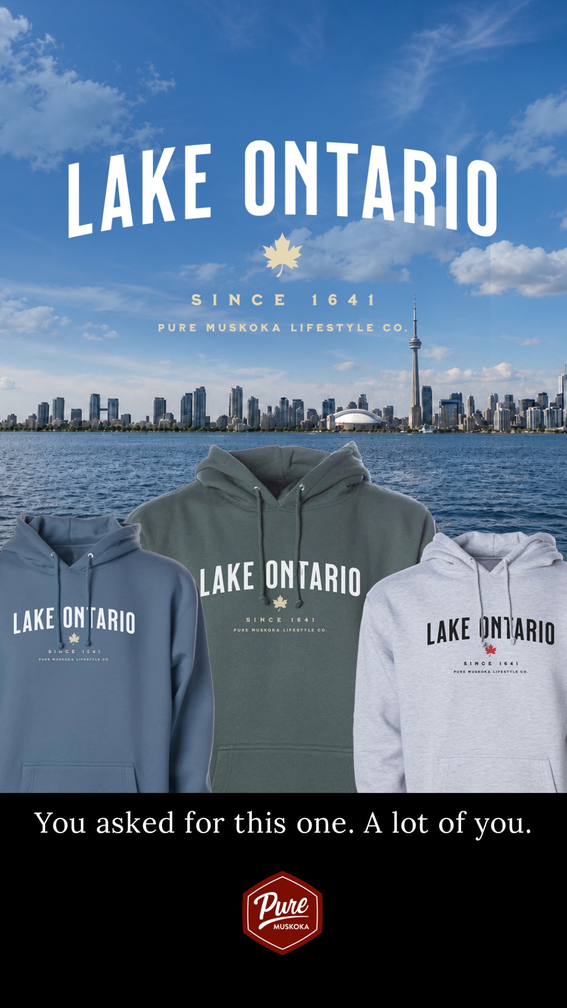 Pure Muskoka Facebook ad