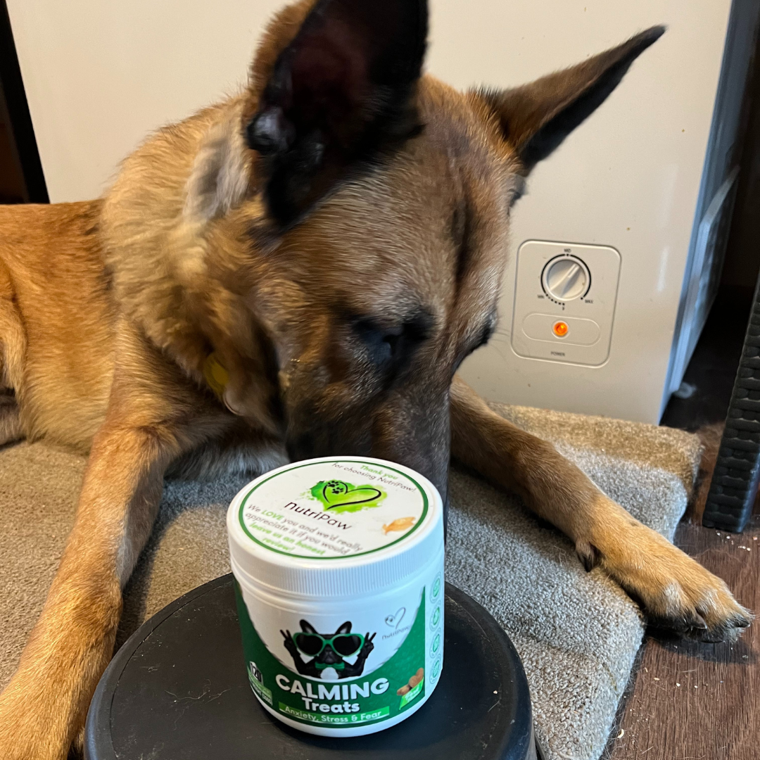 Nutri Paw Facebook ad