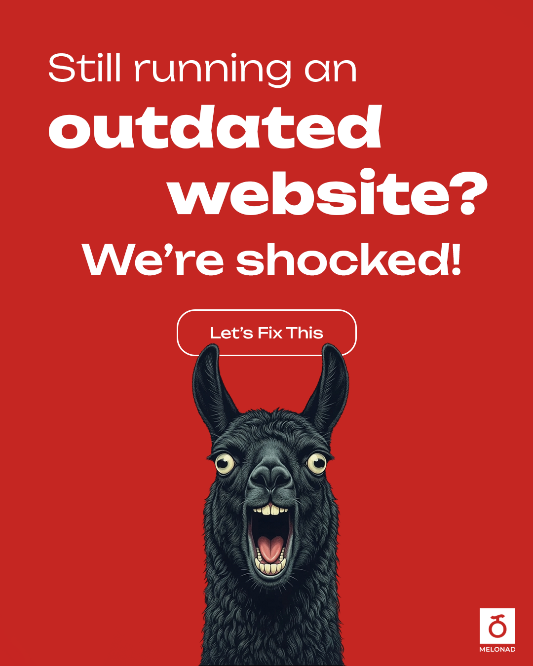 MELONAD Facebook ad: Websites Built to Convert