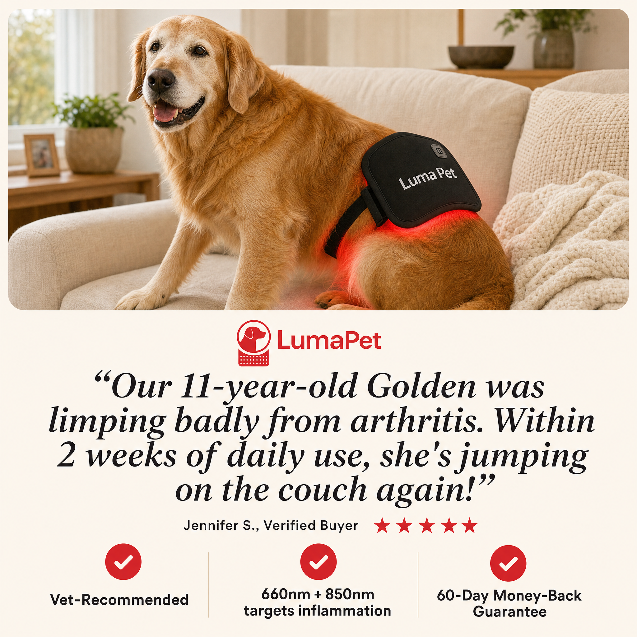 Luma Pet Facebook ad