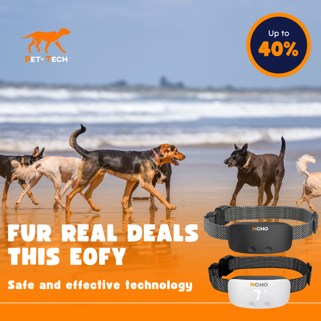 Pet-Tech Facebook ad
