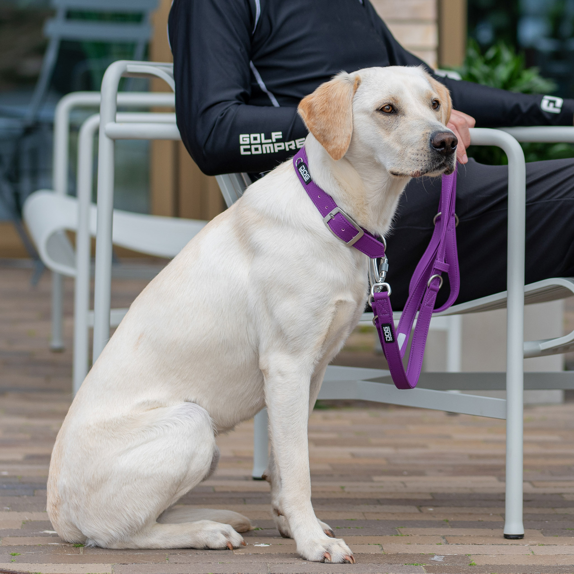 DOG Copenhagen Facebook ad