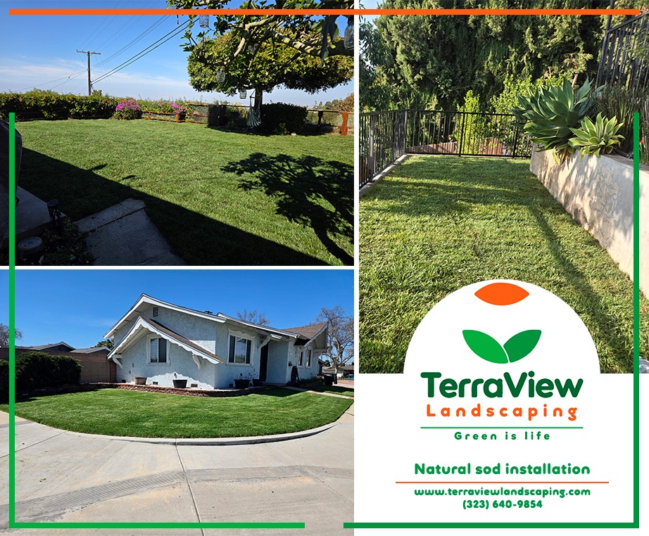 Terraview Landscaping Facebook ad: Professional landscaping services in Los Angeles County.