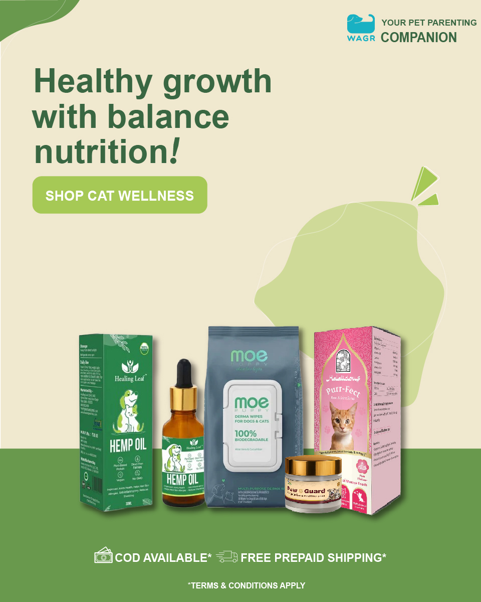 Wagr Facebook ad