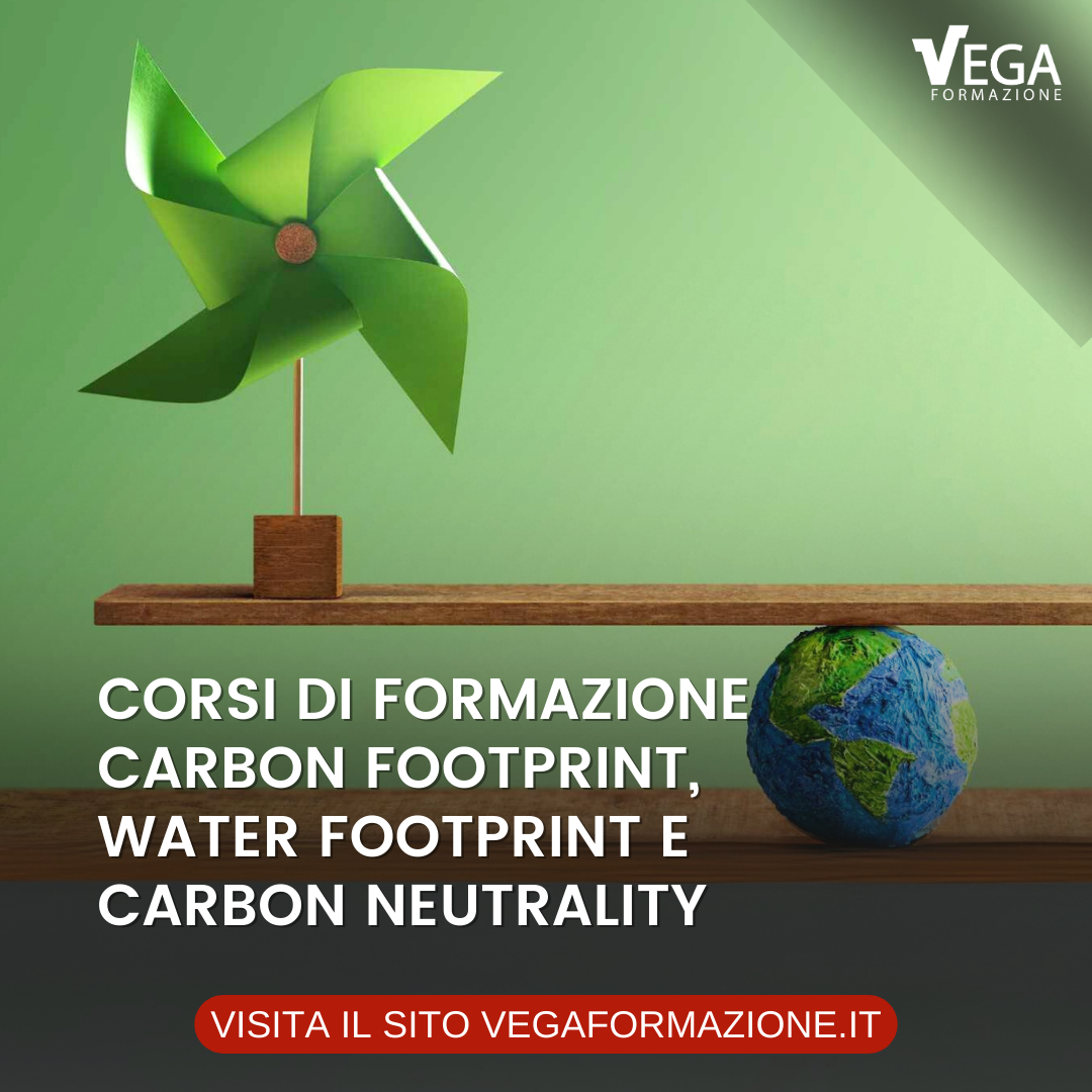 Vega Formazione Facebook ad