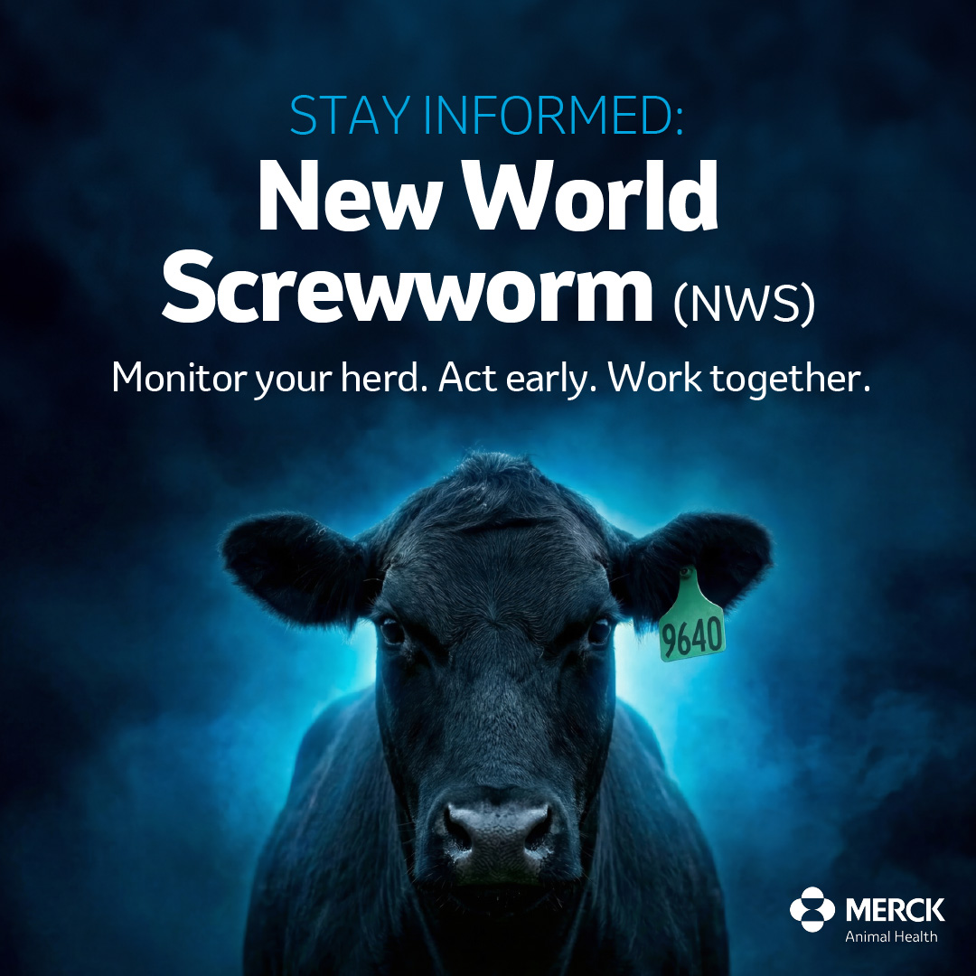 Merck Animal Health Cattle Facebook ad: New World screwworm is on everyone’s radar as…