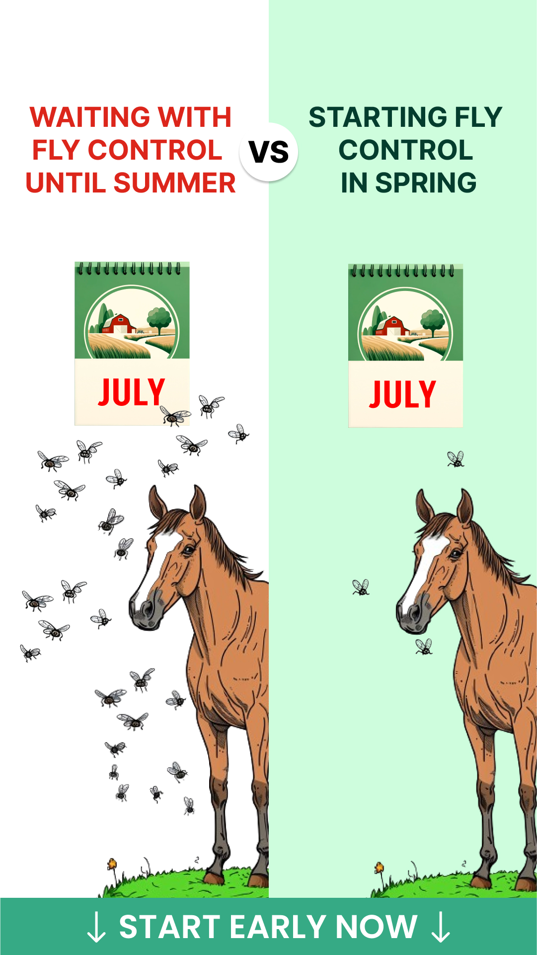 The Ranch Facebook ad