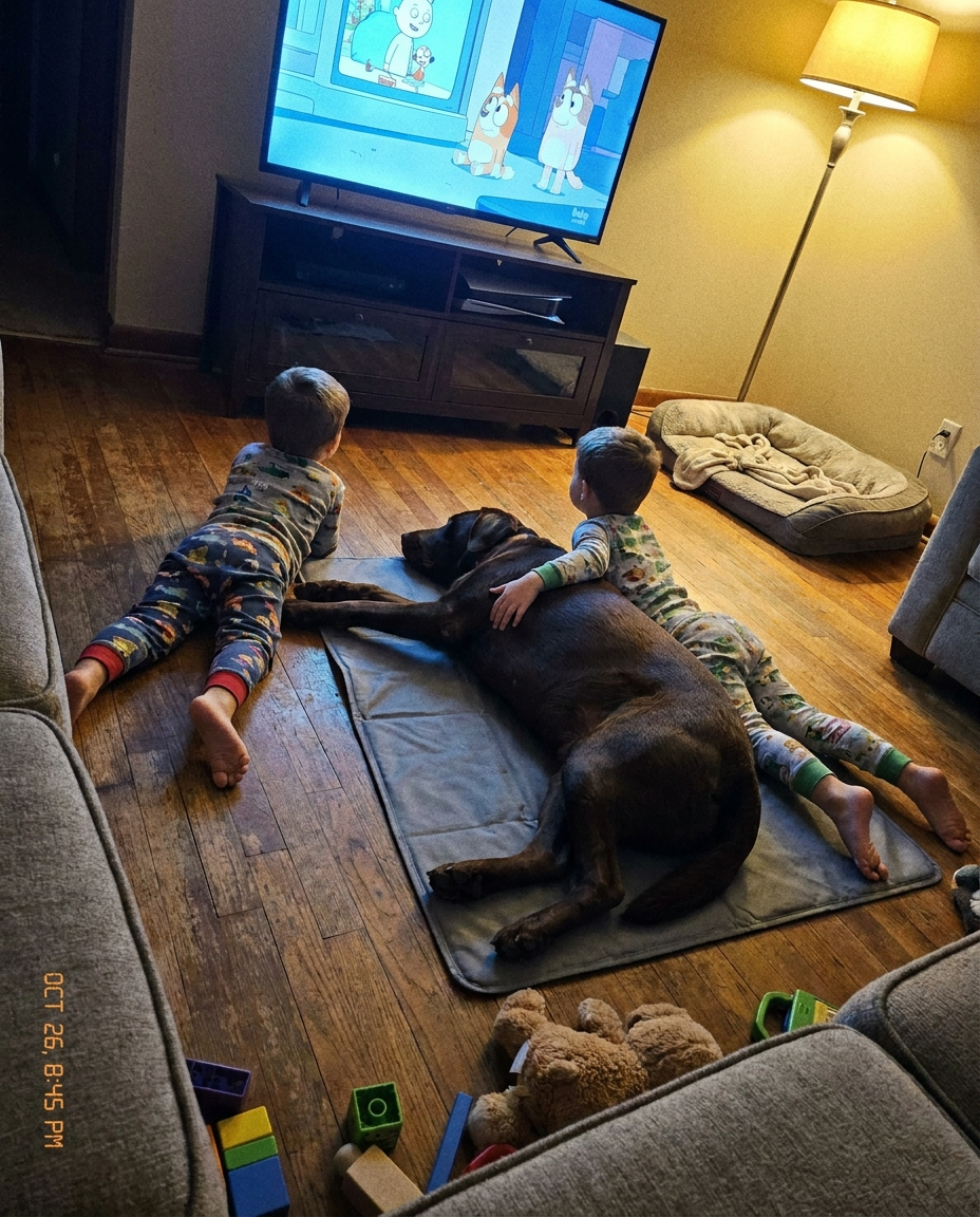 Pet Health Insiders Facebook ad