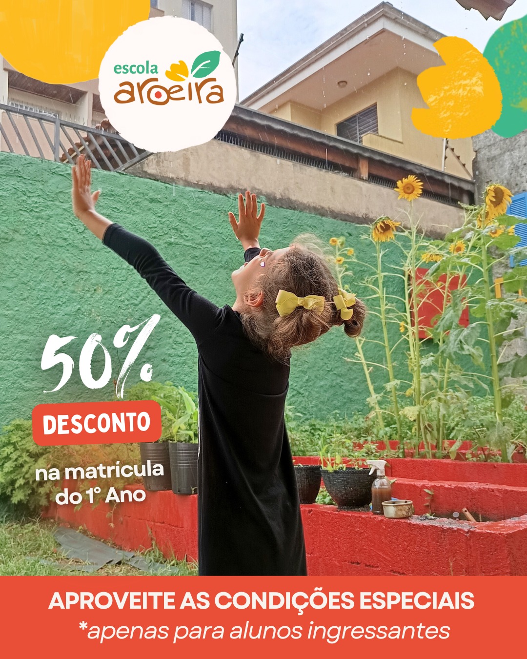 Escola Aroeira Facebook ad