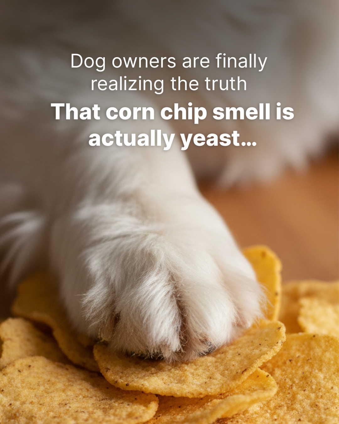 PetLab Co. Facebook ad
